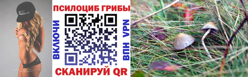 Псилоцибиновые грибы прущие грибы закладки Кострома