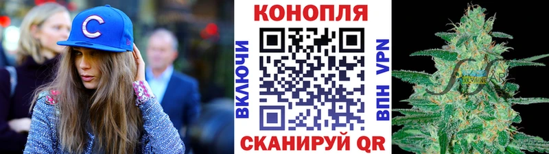 Марихуана OG Kush Кострома